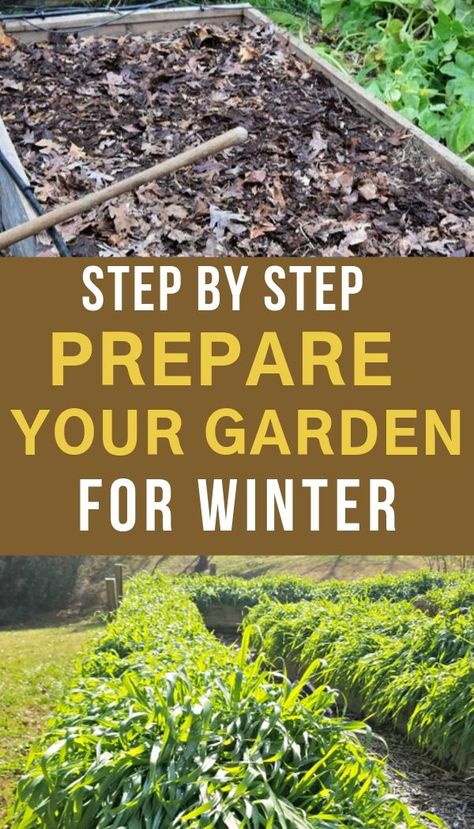 Winterizing Vegetable Garden, How To Winterize Your Vegetable Garden, How To Winterize Your Garden, Preparing Garden For Winter, How To Prepare Garden For Winter, How To Winterize Garden Beds, Zone 7 Winter Garden, Prepping Garden For Winter, How To Winterize Raised Garden Beds