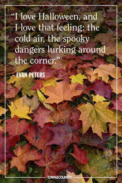 These 44 Halloween Quotes Will Get You Ready For Spooky Season- TownandCountrymag.com Quotes About Halloween, Spooky Sayings, Halloween Quotes And Sayings, Anne Of Windy Poplars, Spooky Words, Scary Quotes, Halloween Costume Design, Silly Quotes, Halloween Eve