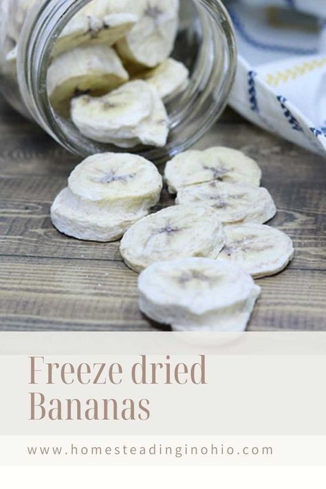 Snacks To Take To Work, Healthy Fruit Snack, Freeze Dried Food Storage, Dried Banana Chips, Harvest Right Freeze Dryer, Healthy Fruit Snacks, Best Freeze Dried Food, Snack Easy, Freeze Dryer