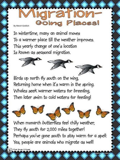 Image Result For Bird Migration Worksheets Migration Preschool, Bird Theme Preschool, Hibernation Preschool Theme, Hibernation Preschool Crafts, Migration Activities, Hibernation Preschool Activities, Hibernation Crafts, Hibernation Preschool, Hibernation Activities