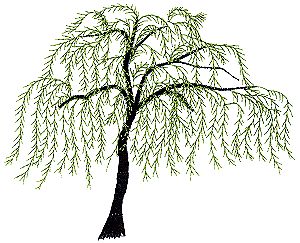 Willow Tree Embroidery, Willow Tree Art, Tree Embroidery Design, Feather Embroidery, Embroidery Stitches Beginner, Cushion Embroidery, Tree Embroidery, Textile Art Embroidery, Feather Stitch