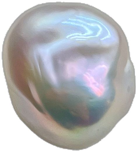 Pearlescent Skin, Druid Dnd, Pretty Shells, Murmuration Art, Dnd Oc, Reference Pics, Rainbow Pearl, Insta Inspiration, Personal Aesthetic