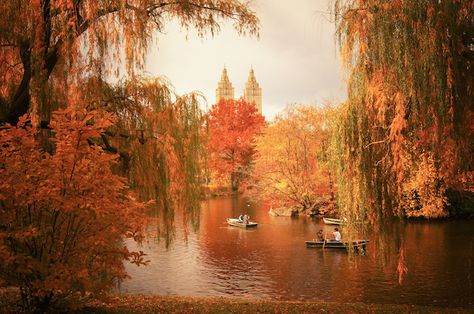 New York Autumn - Central Park Fall Colors at The Lake Fall In New York City, Central Park Fall, New York City Images, Purple Mountain Majesty, Autumn In New York, Autumn Scenes, Autumn Landscape, City Photography, Fall Foliage