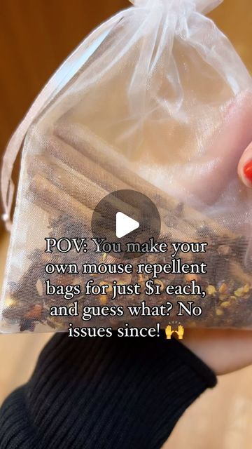 Nicole Jaques |  Kitchen Hacks + Cleaning Tips + Recipes on Instagram: "Comment “MOUSE” and I’ll send you a DM with directions and explanation! 

Anti- mouse bags all ready to go. Cinnamon, cloves, chili flakes and star anise. Place them near every opening and in cupboards and closets.

What pest should we tackle next? Tell me below! 

#mouserepellent #mouseseason #pestrepellent #nontoxicliving" Mouse Repellent Diy With Spices, Anti Mouse Bags, Mice Repellent How To Get Rid, Mouse Repellent Diy, Diy Mouse Repellent, Mouse Deterant, Diy Mice Repellent, Mouse Deterrent, Mouse Bags