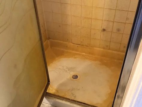 Removing Soap Scum & Orange Stains in Shower Surrounds Diy Shower Soap, Soap Scum Cleaner, Onyx Shower, Easy Clean Shower, Remove Rust Stains, Wall Stains, Shower Basin, Mildew Remover, Mildew Stains