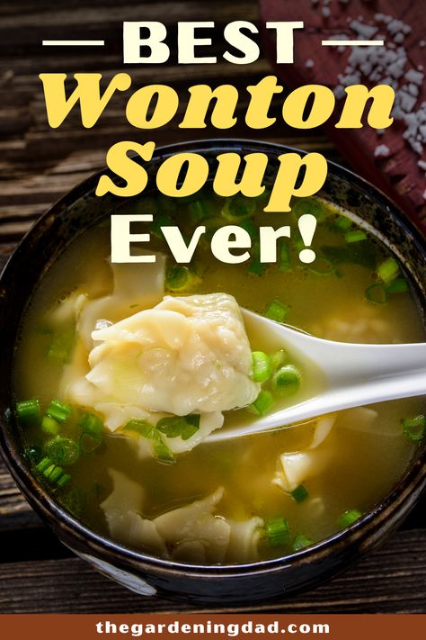 Best Wonton Soup, Wonton Soup Recipe, Asian Soup Recipes, Chinese Soup Recipes, Homemade Chinese Food, Won Ton, Wonton Recipes, Homemade Soup Recipe, Chinese Cooking Recipes