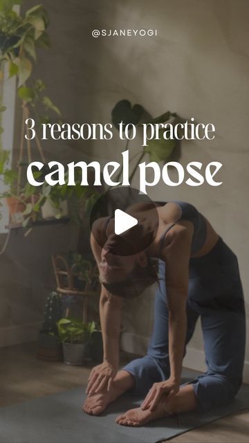 samantha jane ☼ vinyasa yoga teacher on Instagram: "3 reasons to practice camel pose (ustrasana)

🐫 strengthens back muscles 
🐫 deep hip flexor stretch (psoas)
🐫 helps improve posture 

#camelpose #ustrasana #yogabenefits #yoga #yogaposes #yogateacher #yigainspo" Camel Pose Yoga, Hip Flexor Stretch, Camel Pose, Hip Flexor, Vinyasa Yoga, Improve Posture, Back Muscles, Yoga Benefits, Yoga Teacher