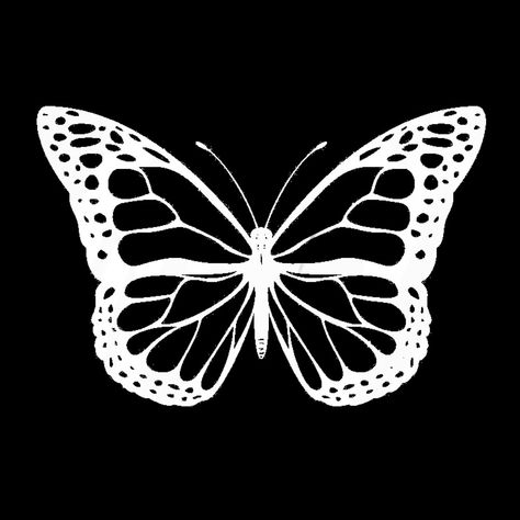 Butterflies Aesthetic, Ios Photos, Butterfly Black And White, Aesthetic Widget, Photo Widget, Ceiling Design Modern, Ios App Icon Design, Neon Aesthetic, Widget Icon