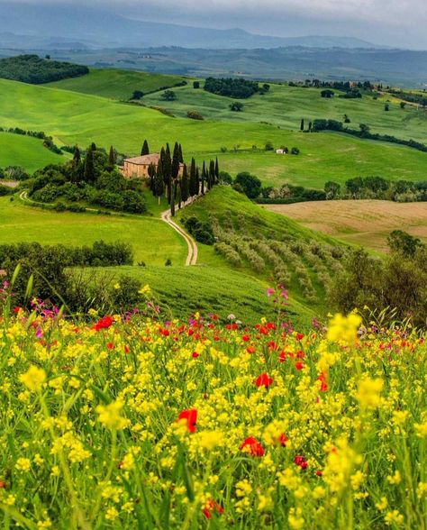 France Winter, Relaxing Photos, Italy Nature, South Italy, Val D Orcia, Toscana Italy, Italy Landscape, Under The Tuscan Sun, Italy Photography