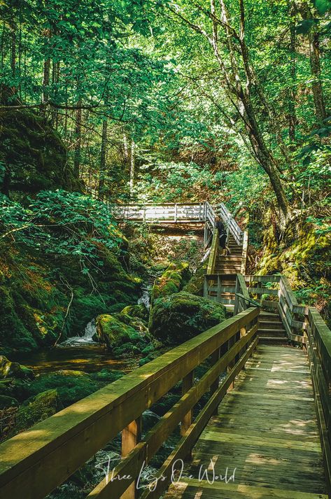 The Waterfall Hike You Can’t Miss At Fundy National Park Fundy National Park New Brunswick, National Parks Canada, Canadian National Parks, East Coast Canada, Fundy National Park, Nova Scotia Travel, Canadian Road Trip, Waterfall Hike, Vacation 2023