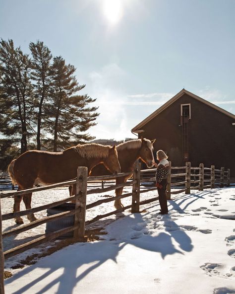 Vermont Ski Resorts, Vermont Winter, Vermont Farms, Woodstock Vt, Woodstock Vermont, England Winter, Farm Plans, Farm Photography, Diy Home Decor Crafts