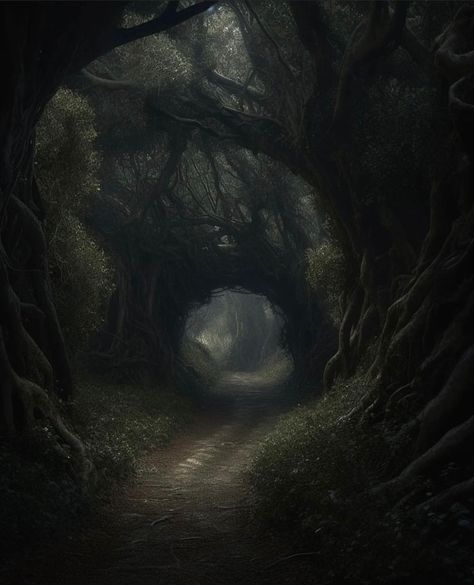 Spirit World Aesthetic, Fantasy Woods Aesthetic, Moonlight Portrait, Forest Dark Aesthetic, العصور الوسطى, Dark Naturalism, Dark Forest Aesthetic, Forest Core, Dark Green Aesthetic