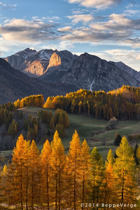 Dolomites by Beppeverge Colorful Landscape Photography, Autumn Gardening, Fall Landscapes, Nature Autumn, Fall Garden, Autumn Scenes, Autumn Scenery, Autumn Landscape, Colorful Landscape