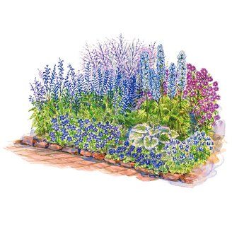 Blue-Theme Garden Plan Illustration Cottage Garden Plan, Small Garden Plans, Colorful Shrubs, Russian Sage, Flower Garden Plans, Long Blooming Perennials, Garden Container, Garden Plan, Corner Garden