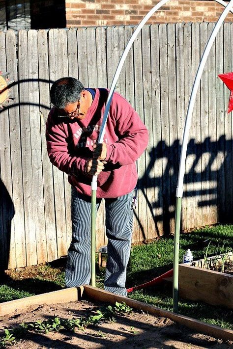 How to Build a Winter Squash Arch | Dishin & Dishes Squash Arch, Squash Trellis, Growing Squash, Garden Archway, Urban Backyard, Arch Trellis, Large Pumpkins, Diy Trellis, Sugar Pumpkin