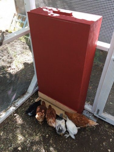 Building a gravity chicken feeder (for gravity feeding, not gravity chickens) Diy Gravity Chicken Feeder, Chicken Gravity Feeder, Gravity Chicken Feeder, Chicken Feeder Ideas, Diy Chicken Feeder, Pvc Chicken Feeder, Pigeon Coop, Gravity Feeder, Rabbit Feeder