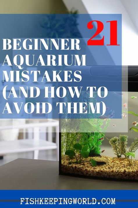 Aquarium mistakes are just somehow normal especially for beginners, so it's not something you have to worry about, because you can fix it and avoid making the same mistake. By reading through these beginner aquarium mistakes, you can avoid making them yourself. A lot of the time these mistakes are made just because of a lack of experience. Check this pin for a complete aquarium guide! #aquariummistakes #aquariumguide #aquarium #aquariumcare Aquarium Setup Ideas Freshwater, Beginner Aquarium, Aquarium Building, Best Aquarium Filter, Aquascape Ideas, Fish Store, Fish Keeping, Fish Tank Design, Guppy Fish