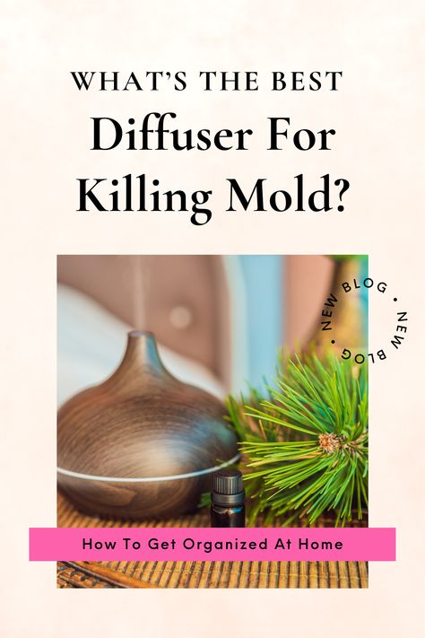 What do you use to get rid of mold spores from your home? This simple tip can prevent mold outbreaks, or at least reduce the number of potential outbreaks in your home. Essential Oils For Mold Diffuser, How To Get Rid Of Mold In House, How To Get Rid Of Mold Smell In House, Get Rid Of Mold Smell, Getting Rid Of Mold, Young Living Diffuser Recipes, Best Oil Diffuser, Kill Mold, Mold Smell