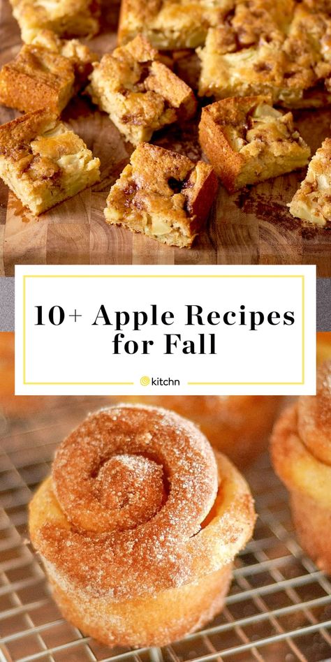 Things To Do With Fresh Picked Apples, Apple Party Recipes, Apple Desserts To Freeze, Freezer Friendly Apple Recipes, What To Do With Picked Apples, Things To Do With Apples Easy, What To Do With All My Apples, Extra Apples Easy Recipes, Recipes With Dried Apples