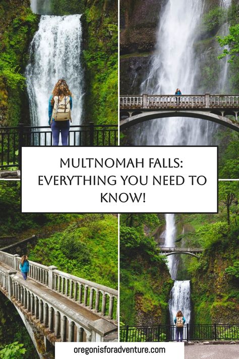 Multnomah Falls Hike: EVERYTHING You Need to Know! Multnomah Falls Oregon Photography, Wahclella Falls Oregon, Columbia River Gorge Waterfalls, Abiqua Falls Oregon, Pnw Waterfalls, Waterfalls Oregon, Oregon Waterfall Hikes, Multnomah Falls Lodge, Waterfalls In Oregon