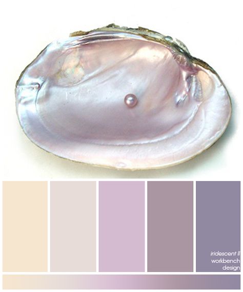 inspiration photo in the "iridescent rooms" board.  Love this shell and color pallet Aesthetic Interior Design, Color Schemes Colour Palettes, Inspiration Photo, Design Seeds, Color Palette Design, Color Balance, Color Inspo, Colour Board, Oyster Shell