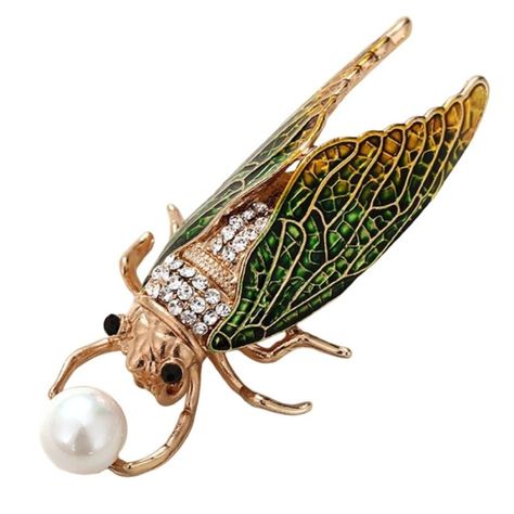 Entomology decor