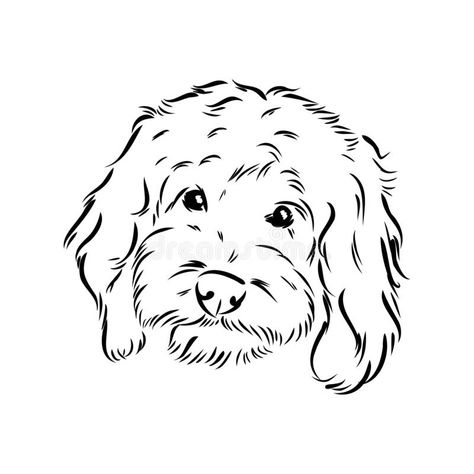 Cavoodle Tattoo, Cockapoo Tattoo Outline, Labradoodle Tattoo, Puppy Tattoos, Labradoodle Drawing, Tattoo Perro, Puppy Tattoo, Lucky Tattoo, Scruffy Dogs