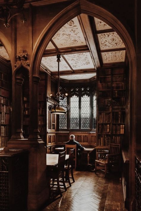 House Aesthetics, Stile Harry Potter, Potter House, Dark Acadamia, Dream Library, Library Aesthetic, Hogwarts Aesthetic, Dark Academia Aesthetic, Light Academia