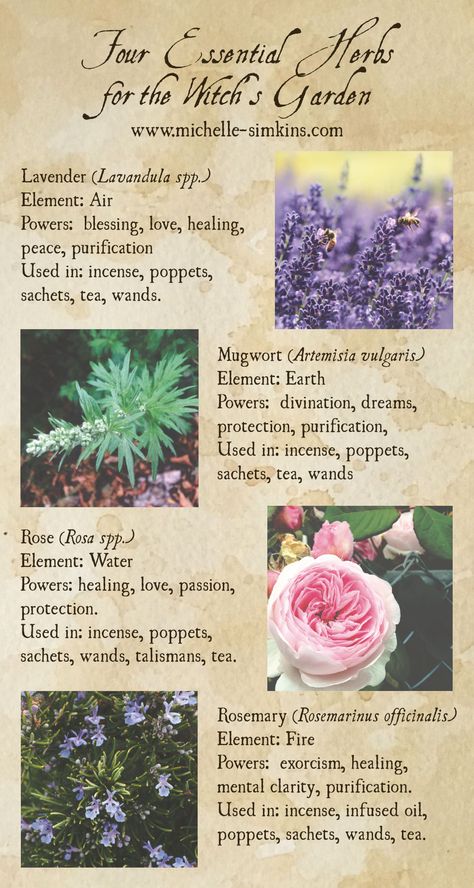 Herb Properties, Magickal Plants, Crystal Spells, Witch Watch, Magic Journal, Witch's Garden, Simple Magic, Witch Balls, Witchy Garden