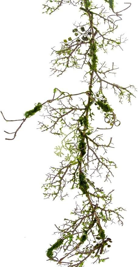 Amazon.com: BD Crafts Artificial Mossy Vine and Branches (53in Mossy Garland) : Home & Kitchen Vine And Branches, Artificial Branches, Home Kitchen, Vines