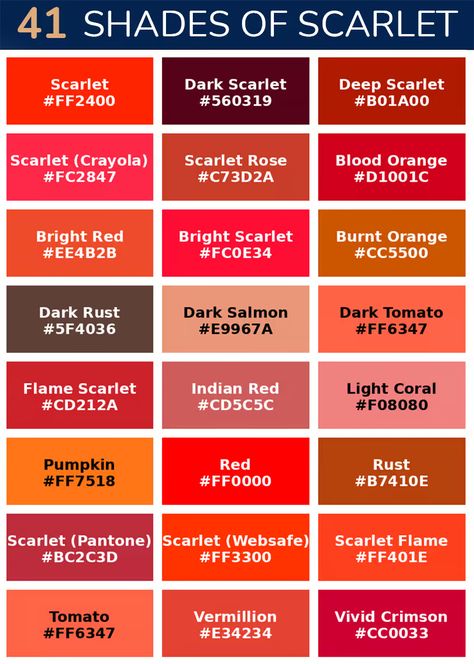 Scarlet Color - A Deep Dive Into the Beautiful Scarlet Red Shade Scarlet Red Color, Scarlet Color, Rgb Color Codes, Color Descriptions, Red Lake, Colour Art, Color Meanings, Light Coral, Brain Activities