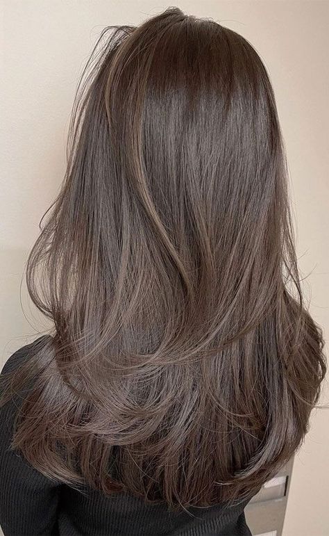 Layer Panjang, Brown Layered Hair, Brunette Hair Cuts, Winter Hair Color Ideas, Korean Winter, Brown Hair Looks, Hair Inspiration Long, Layered Haircuts For Medium Hair, Brown Hair Inspo