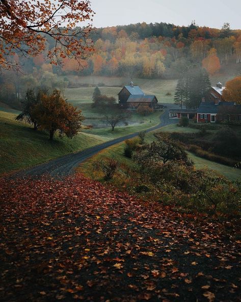 Studera Motivation, Vermont Fall, Herbst Bucket List, Ecological House, Cozy Log Cabin, Foggy Weather, Iconic Buildings, Cabin In The Woods, Autumn Cozy