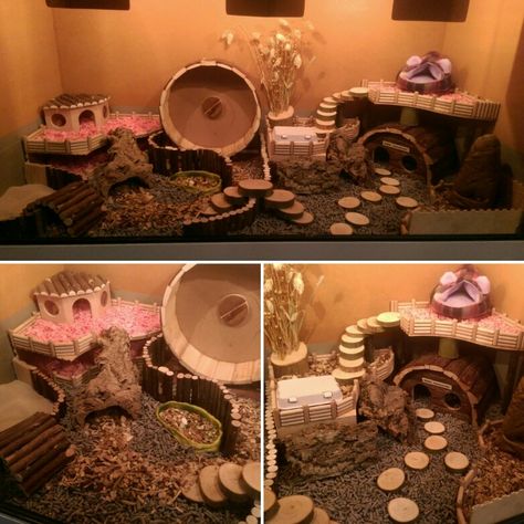 Yes, i did it again! I love it to decorate the cage of my little girl Hamster Fairy Cage, Rat Cage Decoration Ideas, Natural Hedgehog Enclosure, Small Hamster Cage Ideas, Themed Hamster Enclosure, Mouse Cage Ideas, Natural Hamster Cage Ideas, Hedgehog Cage Ideas, Hamster Cage Ideas