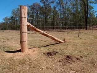 Cattle Fencing, Cattle Fence, Pasture Management, Home Fencing, Stone Fence, Small Farms, Horse Fencing, Fencing Ideas, Natural Fence