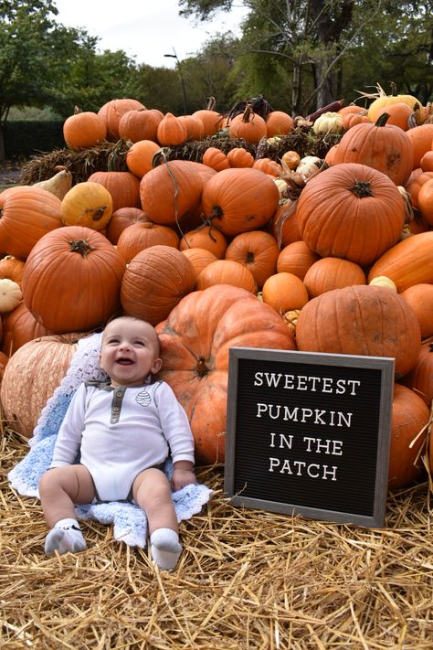 Infant Autumn Photoshoot, Pumpkin Patch Infant Photos, 8 Month Old Fall Photos, 4 Month Old Pumpkin Patch Pictures, Fall Photoshoot With Newborn, Baby First Fall Pictures, 3 Month Old Fall Pictures, 100 Foods Before One Photoshoot, Pumpkin Baby Photoshoot Ideas