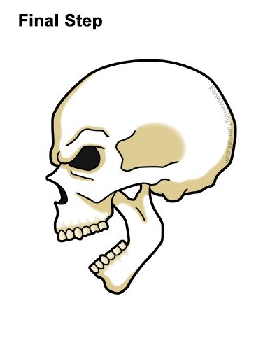 Skull Art Simple, Skull Side View, Draw A Skull, New Drawing, Art Simple, A Skull, Learn How To Draw, Drawing Tutorials, Video New