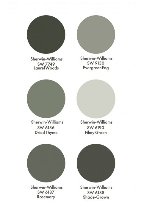 My Favorite Green Paint Colors: Green is the New Gray - The Shop By Jasmine Roth Perfect Green Grey Paint, Grey Sage Paint Color, Best Grey Green Exterior Paint Colors, Ash Green Wall Paint, Greeny Grey Paint, Dark Greenish Gray Paint Colors, Grey Green Doors Interior, Dark Gray With Green Undertones, Phantom Forest Sherwin Williams