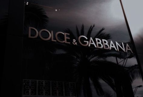 Dolce & Gabbana Logo, A Royal Affair, Designer Aesthetic, Movie Theatre, Book Aesthetics, Classy Aesthetic, Rich Life, Material Girl, Dolce E Gabbana