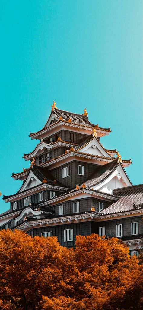 So Beautiful Iphone Wallpaper Architecture, 8k Wallpaper Iphone, Japanese Wallpaper Iphone, Iphone Wallpaper Stills, Asian Architecture, Architecture Wallpaper, Simple Phone Wallpapers, 8k Wallpaper, Art Gallery Wallpaper