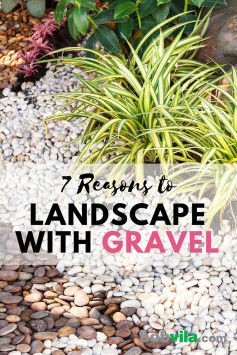 Hate mowing the lawn? Check out these 7 reasons you should seriously consider gravel for your landscape. Rock Flower Beds, Sloped Backyard Landscaping, Mowing The Lawn, Front Lawn Landscaping, Gravel Landscaping, Mulch Landscaping, Small Yard Landscaping, River Rock Landscaping, Sloped Backyard