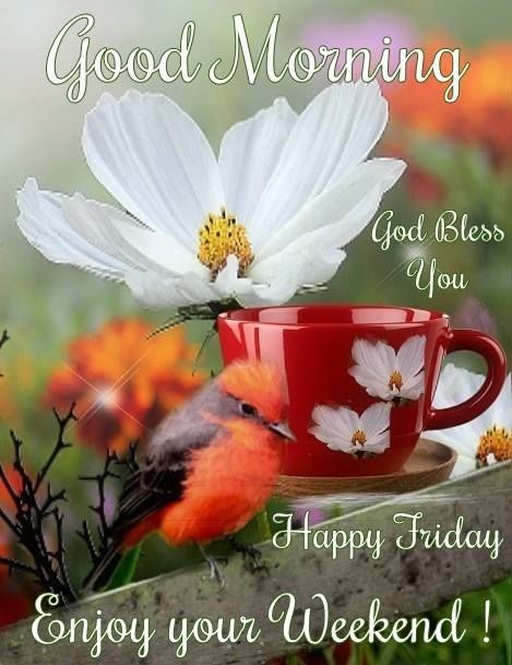 Happy Friday Weekend Image flower good morning quotes good morning blessings weekend images good morning pictures Happy Friday Pictures, Wednesday Morning Greetings, Happy Sunday Images, Weekend Images, Bon Mardi, Friday Pictures, Good Wednesday, Good Morning Wednesday, Happy Wednesday Quotes