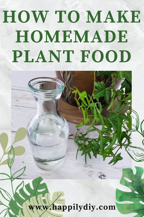 Diy Plant Food Houseplant, Plant Food Diy, Homemade Plant Fertilizer, Indoor Plant Food, Homemade Plant Food, Natural Plant Fertilizer, Pruning Plants, Repotting Plants, Garden Companion Planting