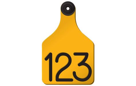 Cattle Tags, Ear Tag, Id Tag, Custom Engraving, Yellow Black, Contrasting Colors, Color Design, Tags, Tattoos