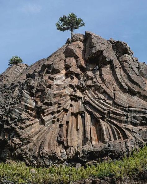 Geology for Beginners on Instagram: "RaDiaTinG BaSaLT CoLuMnS 😍♥️⚒ Pino Hachado, Neuquen, Argentina 🇦🇷 Description: Columnar jointing is a geological structure where sets of intersecting closely spaced fractures, referred to as joints, result in the formation of a regular array of polygonal prisms, or columns. Columnar jointing occurs in many types of igneous rocks and forms as the rock cools and contracts. Columnar jointing can occur in cooling lava flows and ashflow tuffs (ignimbrites), a Basalt Columns, Patagonia Argentina, Lava Flow, Natural Phenomena, World Of Color, Geology, Mount Rushmore, City Photo, Natural Landmarks