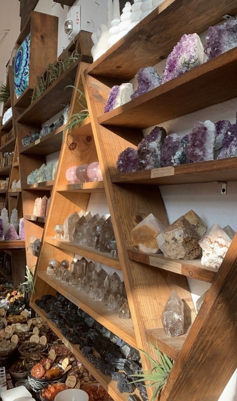 Gemstone Collection Display, Diy Rock Collection Display, Displaying Crystals In Home, Rock Collection Storage, Crystal Collection Display, Rock Collection Display, Shell Display, Metaphysical Store, Crystals Store