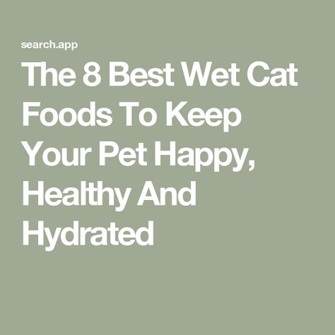 The 8 Best Wet Cat Foods To Keep Your Pet Happy, Healthy And Hydrated Food From Scratch, Homemade Cat Food, Wild Caught Salmon, Fresh Tuna, Premium Meat, Canned Cat Food, Desert Animals, Cat Water Fountain, Homemade Cat