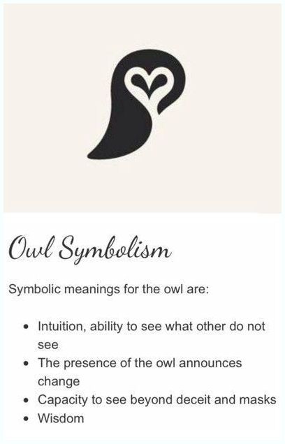 Tiny Owl Tattoo, Simple Owl Tattoo, Tattoos Anchor, Baby Owl Tattoos, Tattoos Feather, Wisdom Tattoo, Owl Tattoo Meaning, Symbole Tattoo, Placement Tattoo