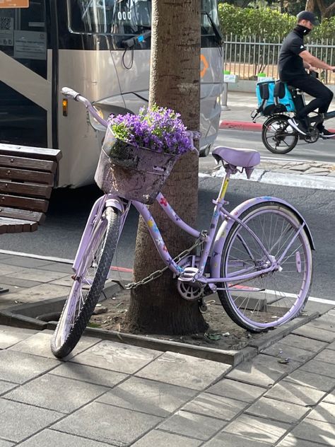 Purple Bicycle, Bicycle Aesthetic, Aesthetic Bike, Purple Bike, Aesthetic Plants, Bike With Basket, Pink Bicycle, Custom Golf Carts, Bike Aesthetic