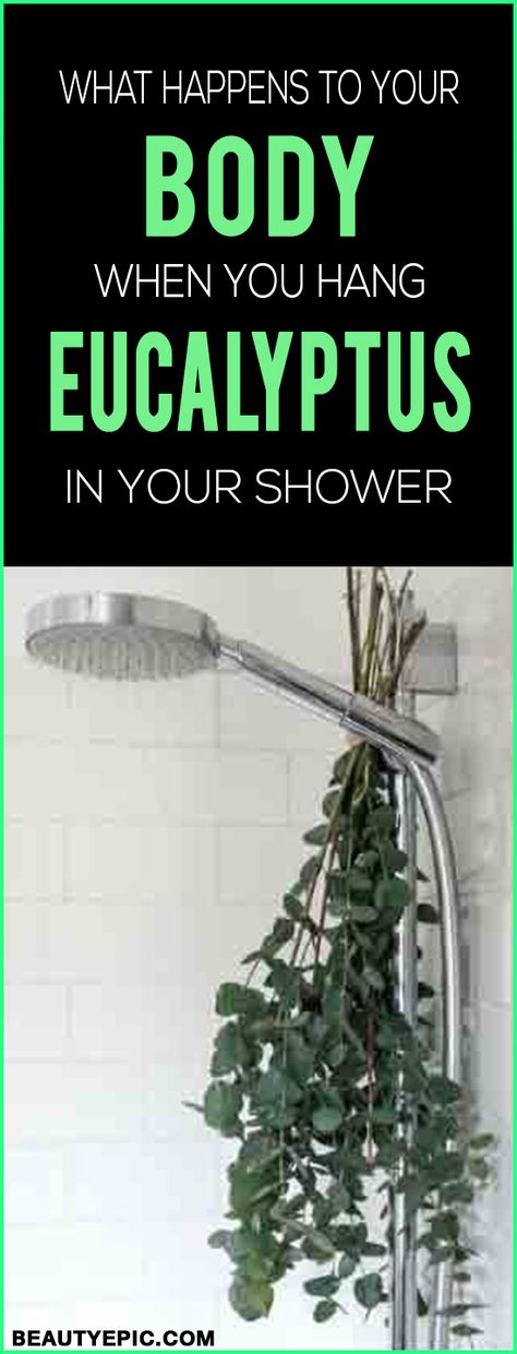 What Happens to Your Body When You Hang Eucalyptus in Your Shower Herbs To Hang In Bathroom, Eucalyptus Decor Ideas, Hanging Eucalyptus Bathroom, Shower With Eucalyptus, Eucalyptus Decor Home, Eucalyptus In The Shower, Barn Wood Bathroom, Shower Eucalyptus, Rustic Toilets